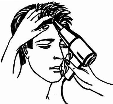 Технология выполнения стрижки площадка Технология выполнения стрижки площадка