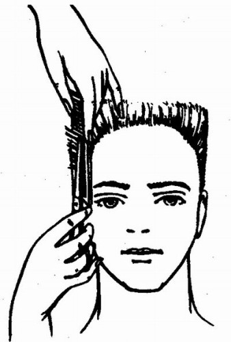 Технология выполнения стрижки площадка Технология выполнения стрижки площадка