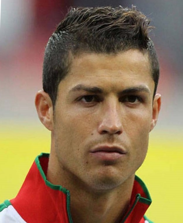 Стрижка площадка и ее технология выполнения