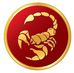 Что предлагает гороскоп причесок и стрижек