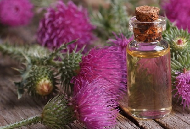 Маска для укрепления волос с репейным маслом Маска для укрепления волос с репейным маслом