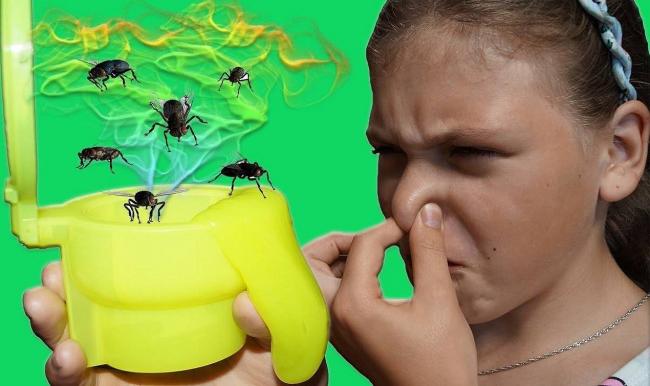 Опасные компоненты слайма