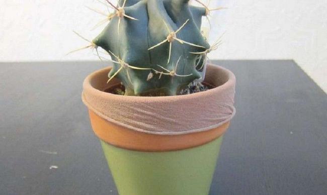 Это поможет избавиться от вечных пятен на подоконнике