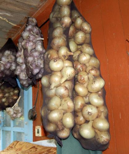 Овощи в колготках