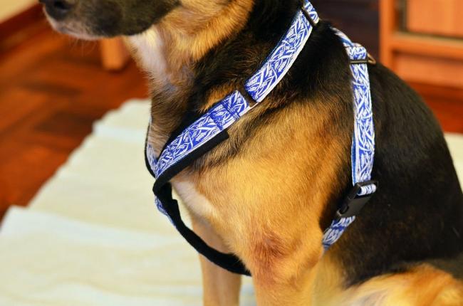 Назначение