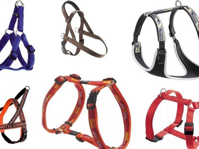 Основные виды