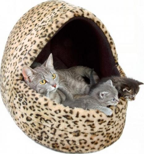 Лежак для кошки и ее потомства
