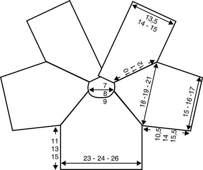 Выкройка кофты реглан