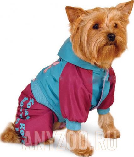 Произвольная модель