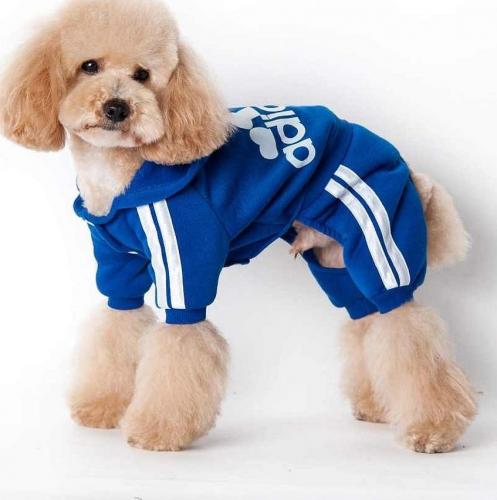 Модные тенденции