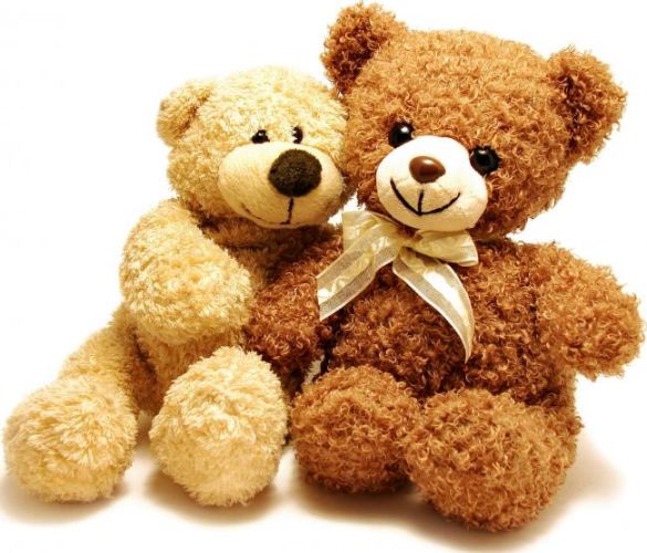 Мишки Тедди