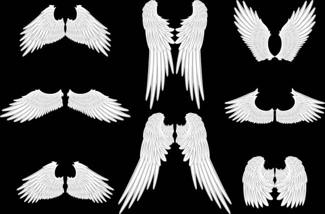 Форма крыльев