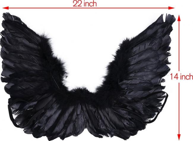 Черные крылья