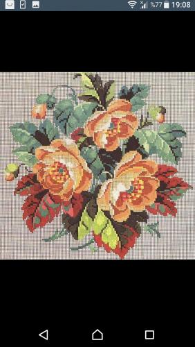 Интересные и яркие цветы