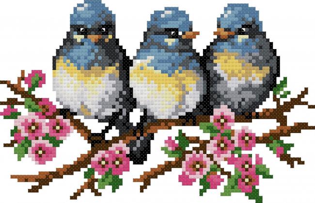 Цветные попугаи