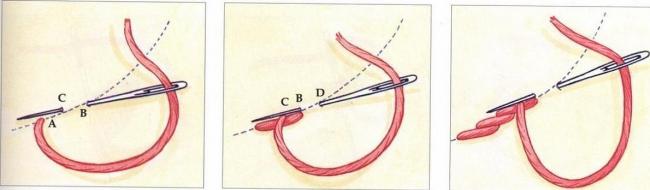 Выполнение стебельчатого шва
