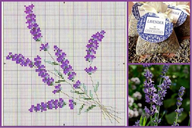 Вышивка крестом «лаванда»