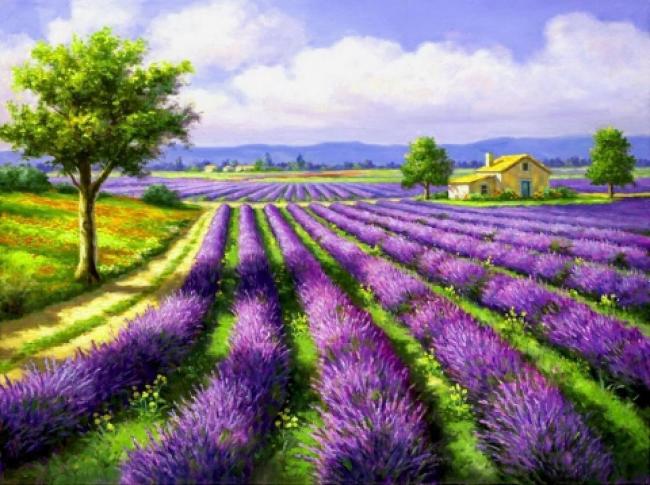 Картина «Лавандовое поле»