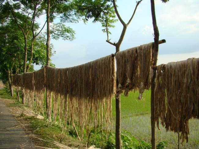 Сушка сырья