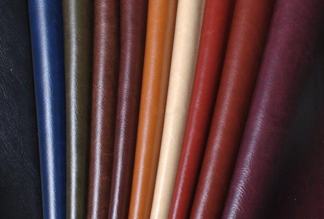 Разнообразие цветов