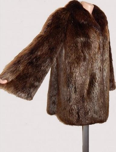 Канадский бобер