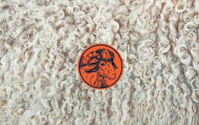 Образец овечьей шерсти.