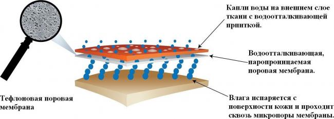 Схема мембранной ткани